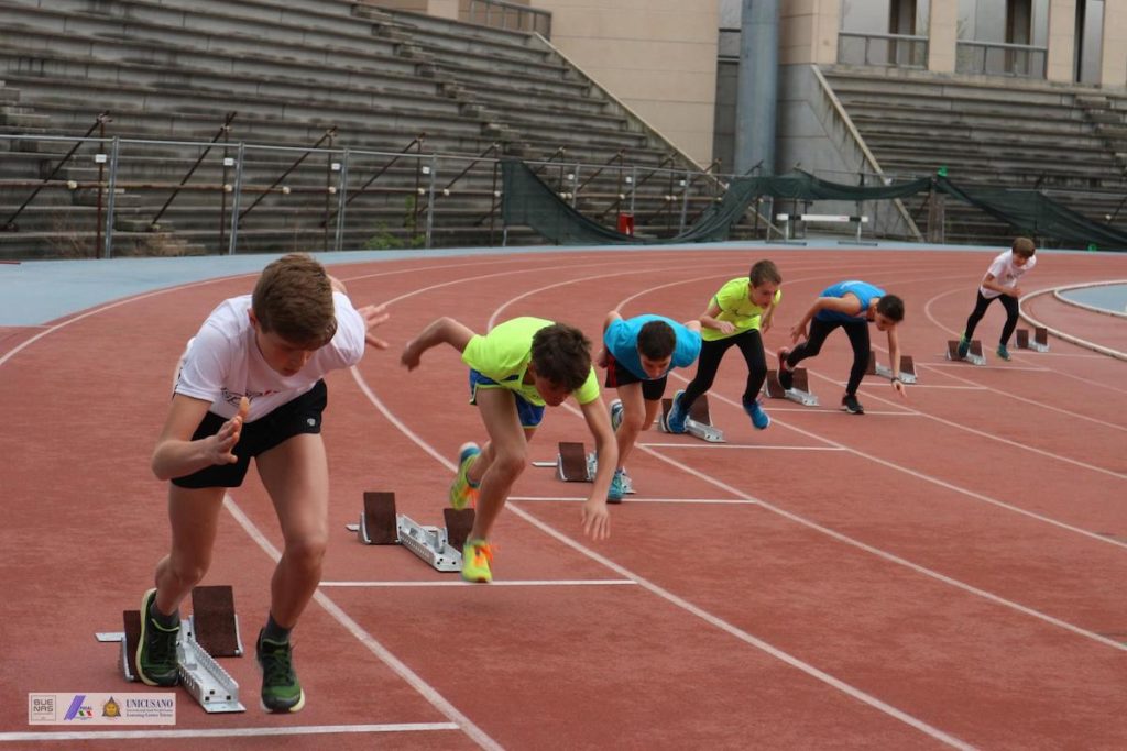 56452017_409547629842291_8715816604522250240_o