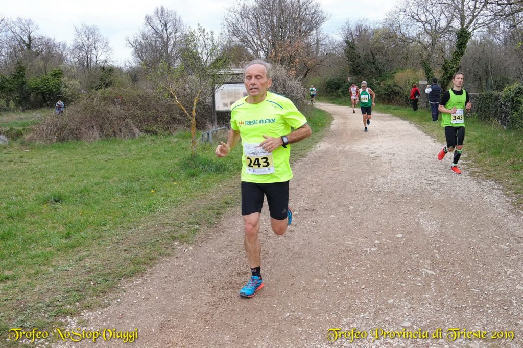 56573579_2068126670154671_8841934595432644608_o