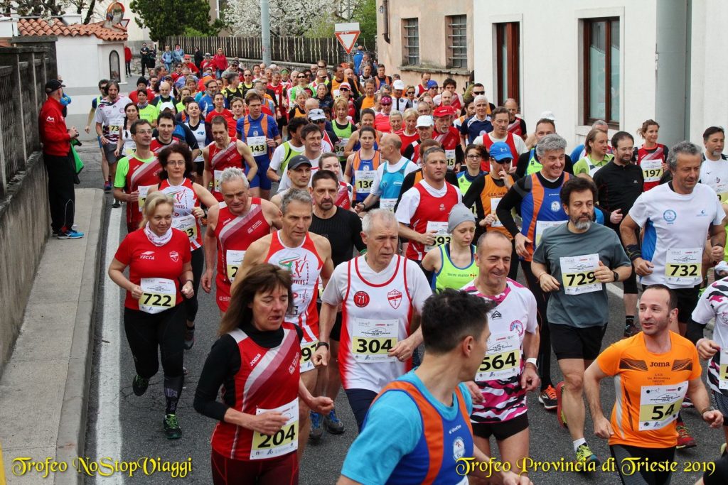 56681303_2068116750155663_8115499589517180928_o