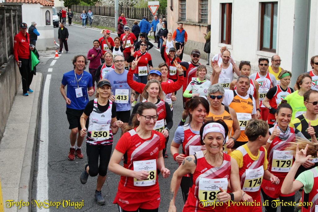 56890385_2068117373488934_6323682221953646592_o